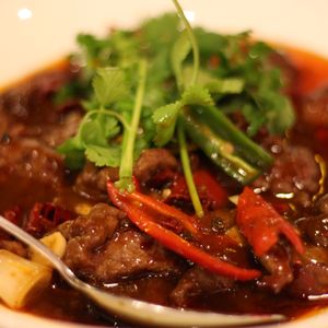 London Oriental Oral Delights