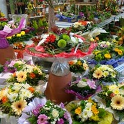 L'Ile aux Fleurs