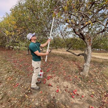 Pome on the Range - Fruits & Veggies Near Me - Williamsburg, Kansas Pome on the Range - Fruits & Veggies Near Me - Williamsburg, Kansas
