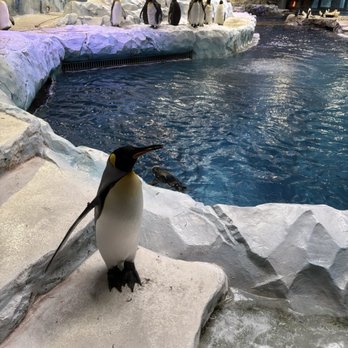 Detroit Zoo - Best part - Zoos Near Me - Royal Oak, Michigan