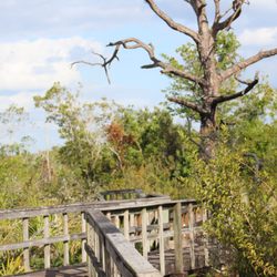 Briggs Nature Center Boardwalk