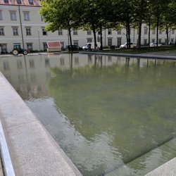 Wasser in Ruhe