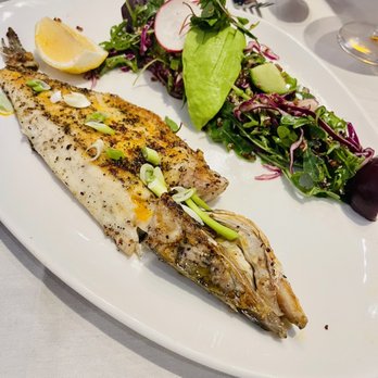 ELIA - Lavraki - Greek Near Me - Walnut Creek, California