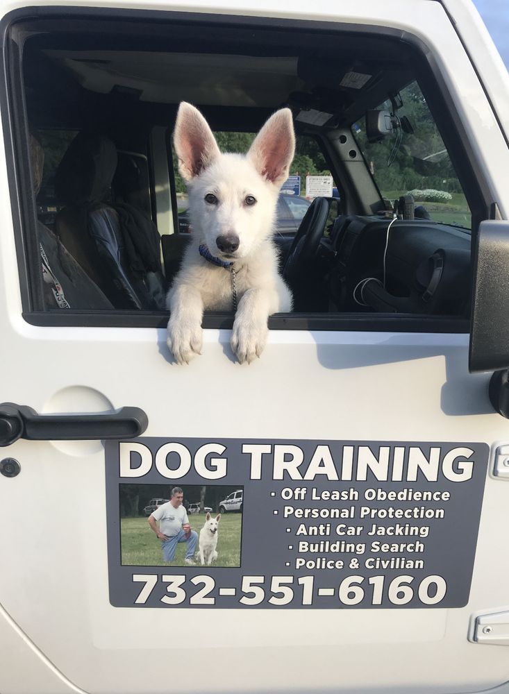 StingrayTommy - pet boarding facility in Brick, NJ