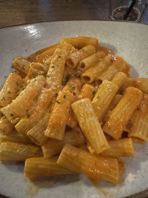 Salt & Stone by null