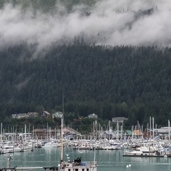 Seward Terminal - The marina - Travel Services Near Me - Seward, Alaska