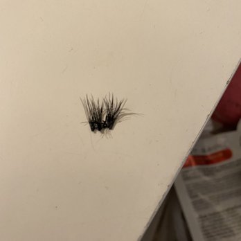Maeda Beauty Salon - Lashes that I took off with more than 6-7 of my real lashes - Cosmetics & Beauty Supply Near Me - Sheepshead Bay, New York Maeda Beauty Salon - Lashes that I took off with more than 6-7 of my real lashes - Cosmetics & Beauty Supply Near Me - Sheepshead Bay, New York