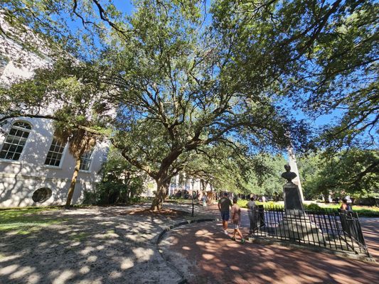 Washington Square by null