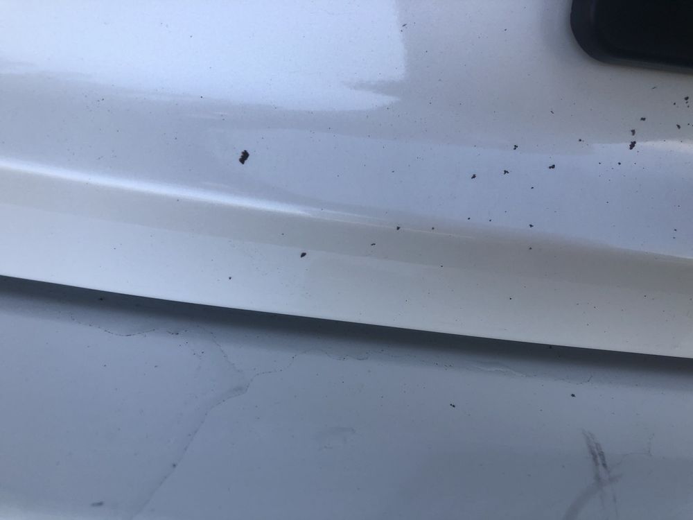 BROWN BEAR CAR WASH 38 Photos & 68 Reviews 3724 Factoria Blvd SE, Bellevue, Washington Car