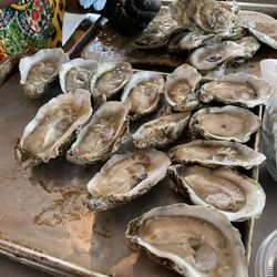 Relish - Wednesday night oysters