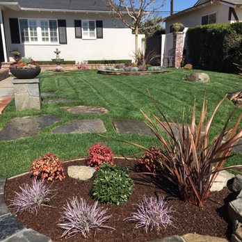 AL Lopez Landscaping - Marathon II sod after first mowing at 3 weeks. - Landscaping Near Me