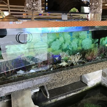 Silver Spoon Restaurant - Fish tank as you come in the door. - Diners Near Me - Glendora, California Silver Spoon Restaurant - Fish tank as you come in the door. - Diners Near Me - Glendora, California