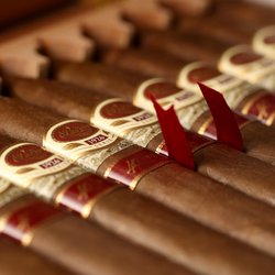 Padrón cigars available for purchase - single or by the box.