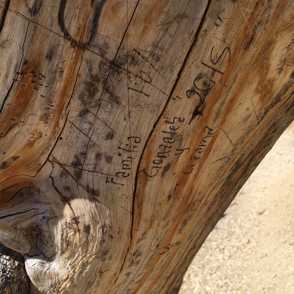 Big Horn Mine - Nice learning opportunity - family hike - let's teach the family to graffiti a tree - Hiking Near Me Big Horn Mine - Nice learning opportunity - family hike - let's teach the family to graffiti a tree - Hiking Near Me