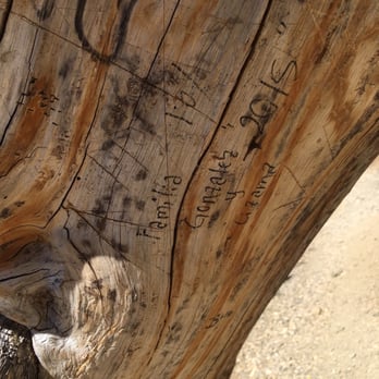 Big Horn Mine - Nice learning opportunity - family hike - let's teach the family to graffiti a tree - Hiking Near Me Big Horn Mine - Nice learning opportunity - family hike - let's teach the family to graffiti a tree - Hiking Near Me