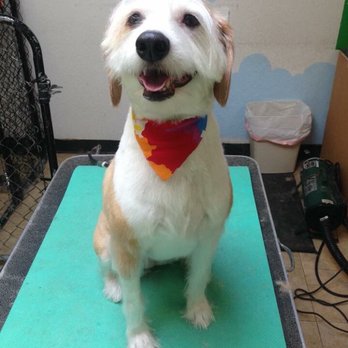 Beck'n Call Pet Services - Pet Sitting Near Me - Albuquerque, New Mexico