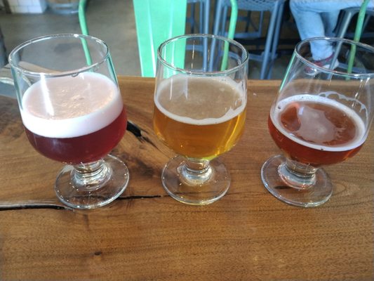 Transient Artisan Ales by null