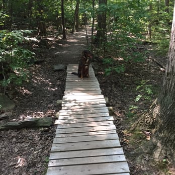 Baxter Woods - Parks Near Me - Portland, Maine