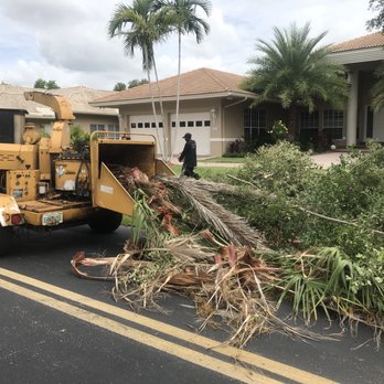 D&D Tree Service - Tree Services Near Me