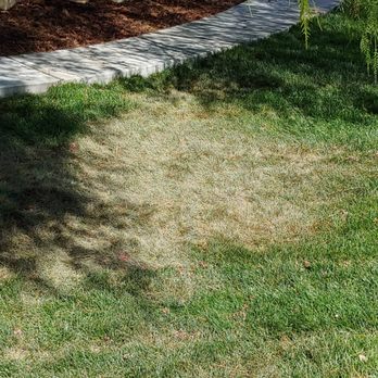 GLS Landscape and Maintenance - Landscaping Near Me - Rialto, California GLS Landscape and Maintenance - Landscaping Near Me - Rialto, California