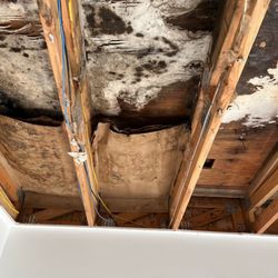 Dryout - BEFORE water mitigation and mold cleanup