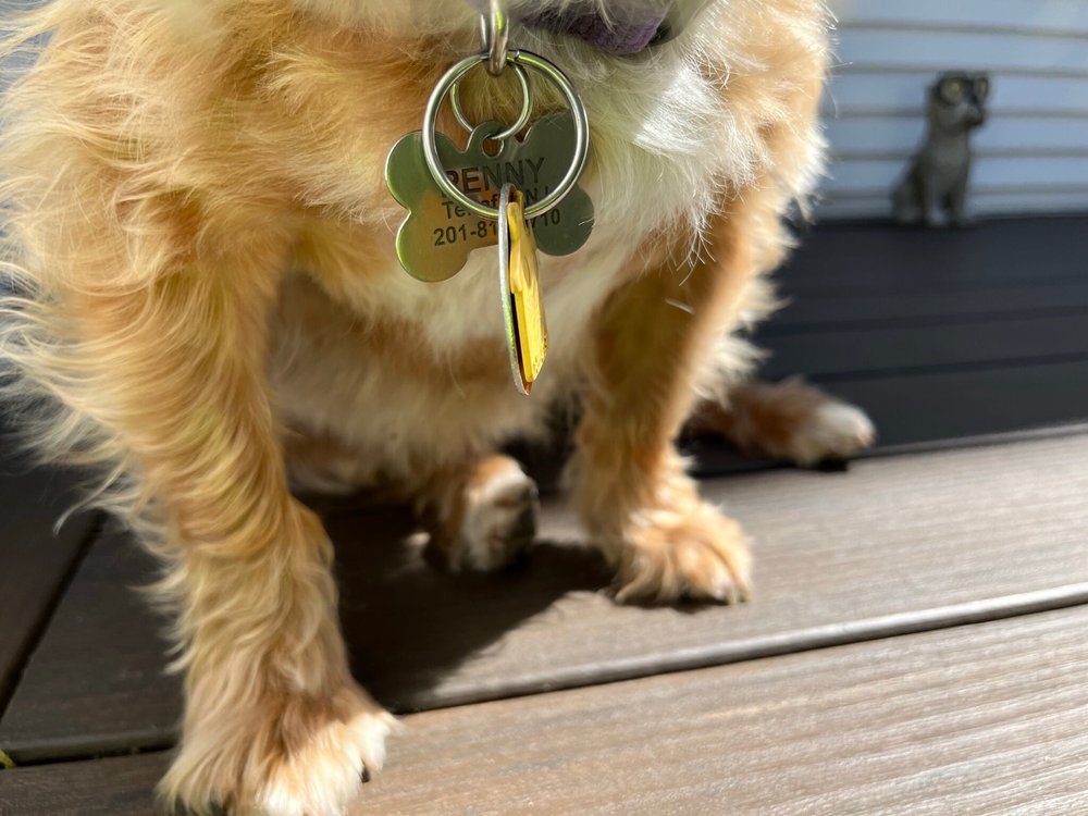 BARK AVENUE Updated July 2024 27 Reviews 20 E Madison Ave