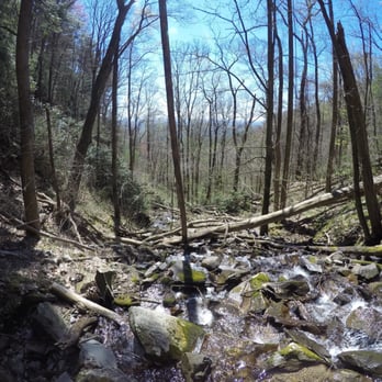 Mulberry Gap - Adventure Basecamp - The view from one of the trails ..!!!! Stunning - Mountain Biking Near Me - Ellijay, Georgia