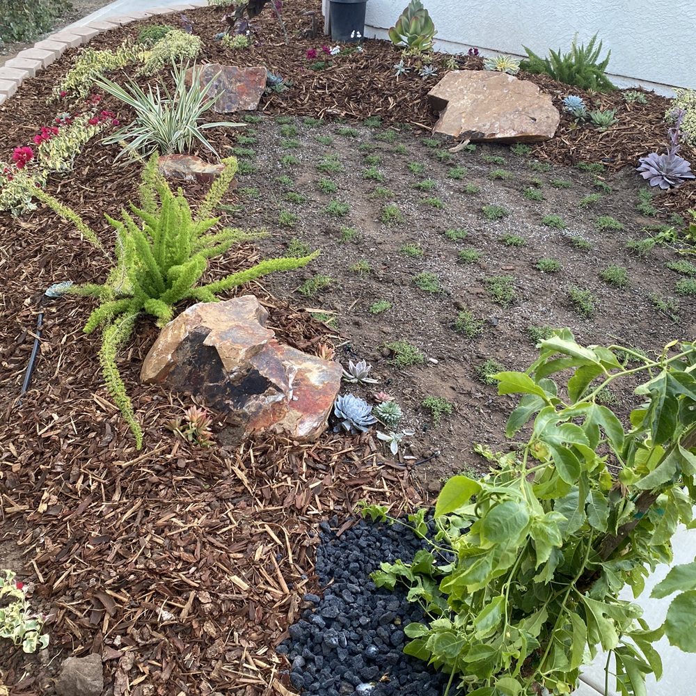 Bello's Landscaping - After - Landscaping Near Me - Vista, California