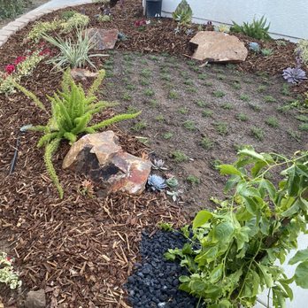 Bello's Landscaping - After - Landscaping Near Me - Vista, California
