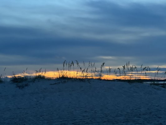 Grayton Beach State Park by null