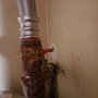Photo of Affordable Rooter Service