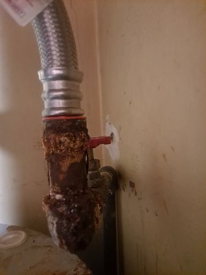 Affordable Rooter Service