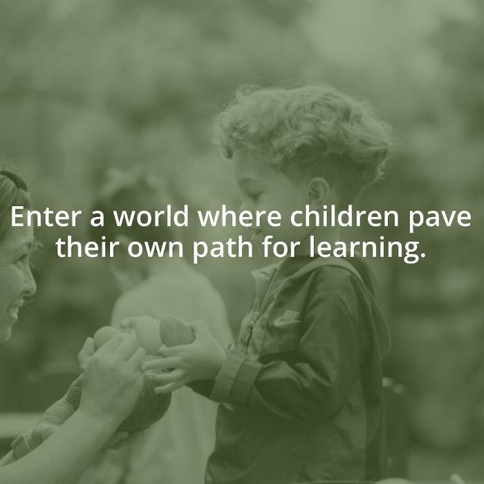 Little Owl School - childcare center in Long Beach, CA