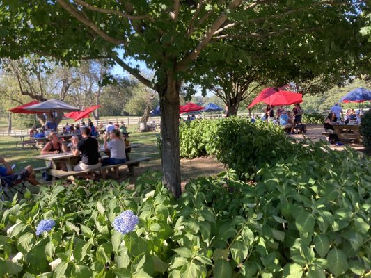 Waredaca Brewing Company by null