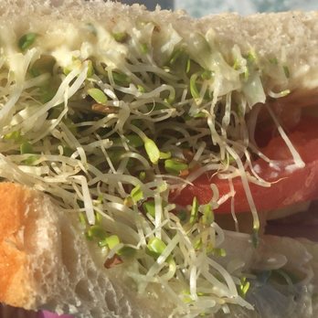 Cafe Gouda - Close up on the becca's garden. The veggies were nice & fresh & I'm a sucker for alfalfa sprouts! - Breakfast & Brunch Near Me - Hickory, North Carolina Cafe Gouda - Close up on the becca's garden. The veggies were nice & fresh & I'm a sucker for alfalfa sprouts! - Breakfast & Brunch Near Me - Hickory, North Carolina
