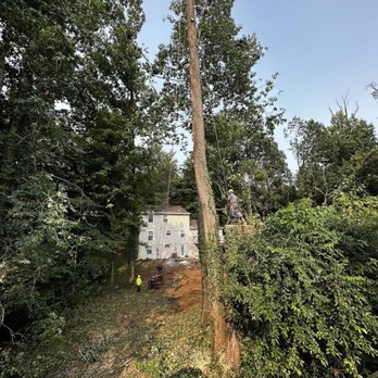 Sierra’s Tree Services - Tree Services Near Me