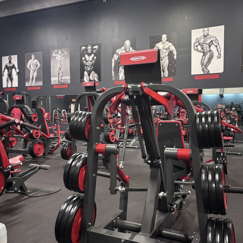 Pro Bodytech Empire - Gyms Near Me - Miami, Florida Pro Bodytech Empire - Gyms Near Me - Miami, Florida