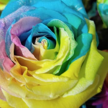 Victoria's Flower Shop - Florists Near Me - Calexico, California