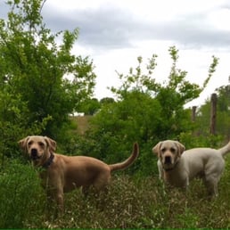 Miller and Baxter enjoying their time away! Miller and Baxter enjoying their time away!