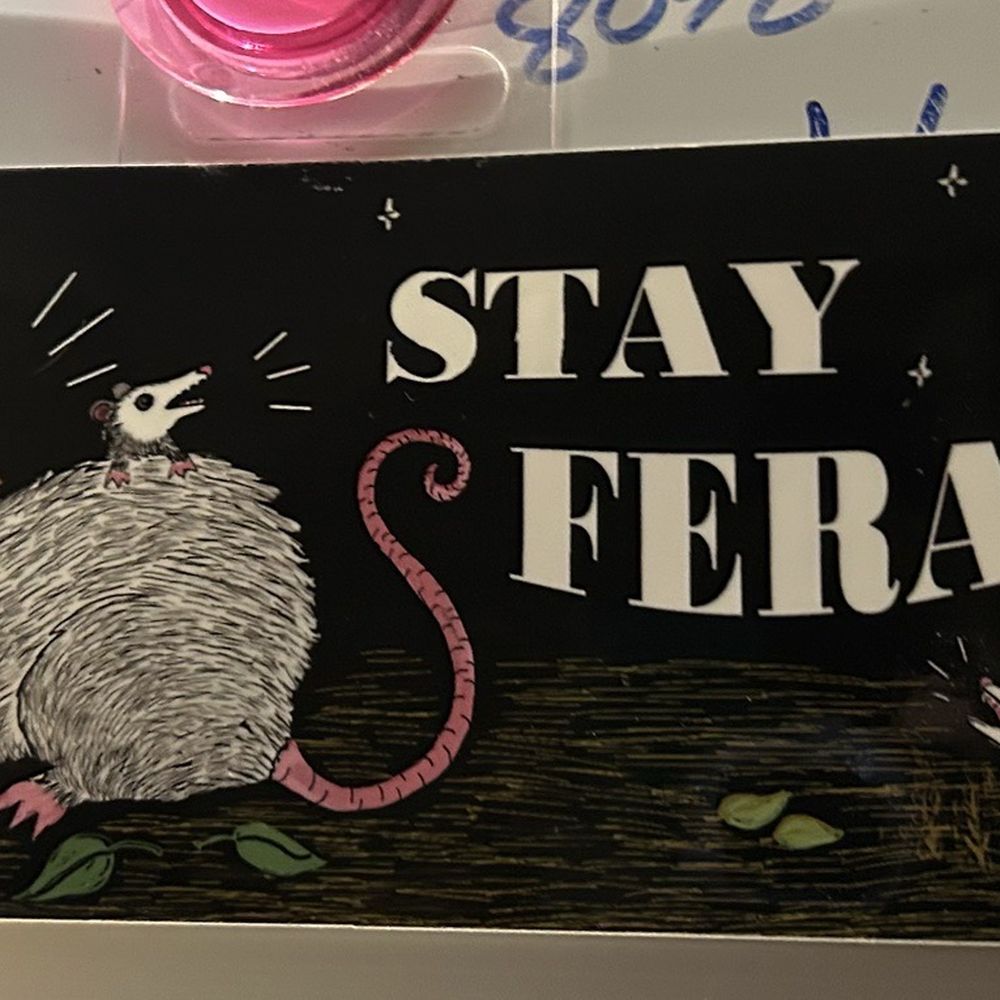 Spooky Cat Press - I saw this bumper sticker on IG and knew I had to have it! - Gift Shops Near Me - Casselberry, Florida Spooky Cat Press - I saw this bumper sticker on IG and knew I had to have it! - Gift Shops Near Me - Casselberry, Florida