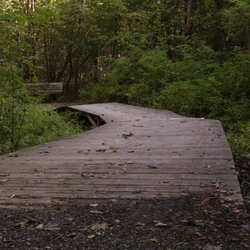 Petersfield Provincial Park - Path