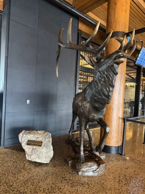 Jackson Hole Airport by null Jackson Hole Airport by null