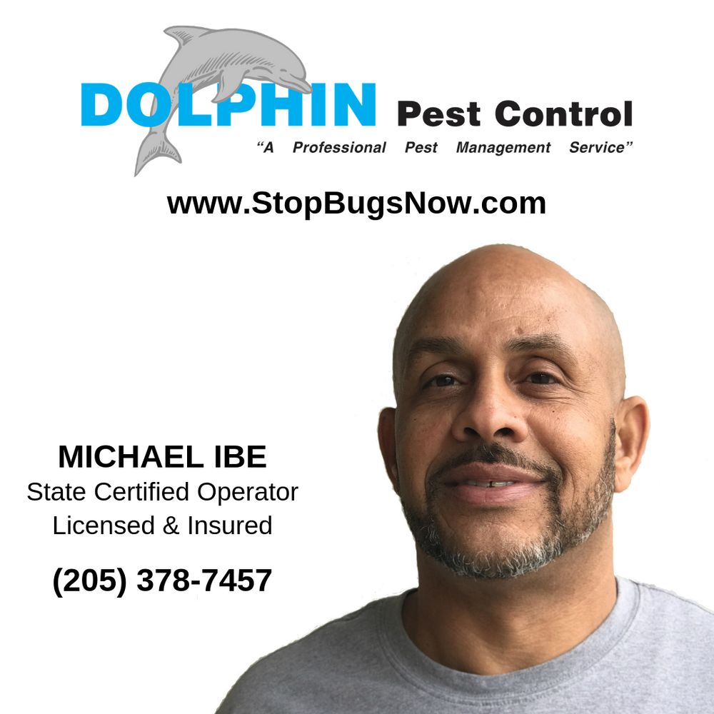 Dolphin Pest Control - veterans service organization in Birmingham, AL