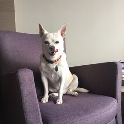 Golfclub Eppan - Rooms are comfy