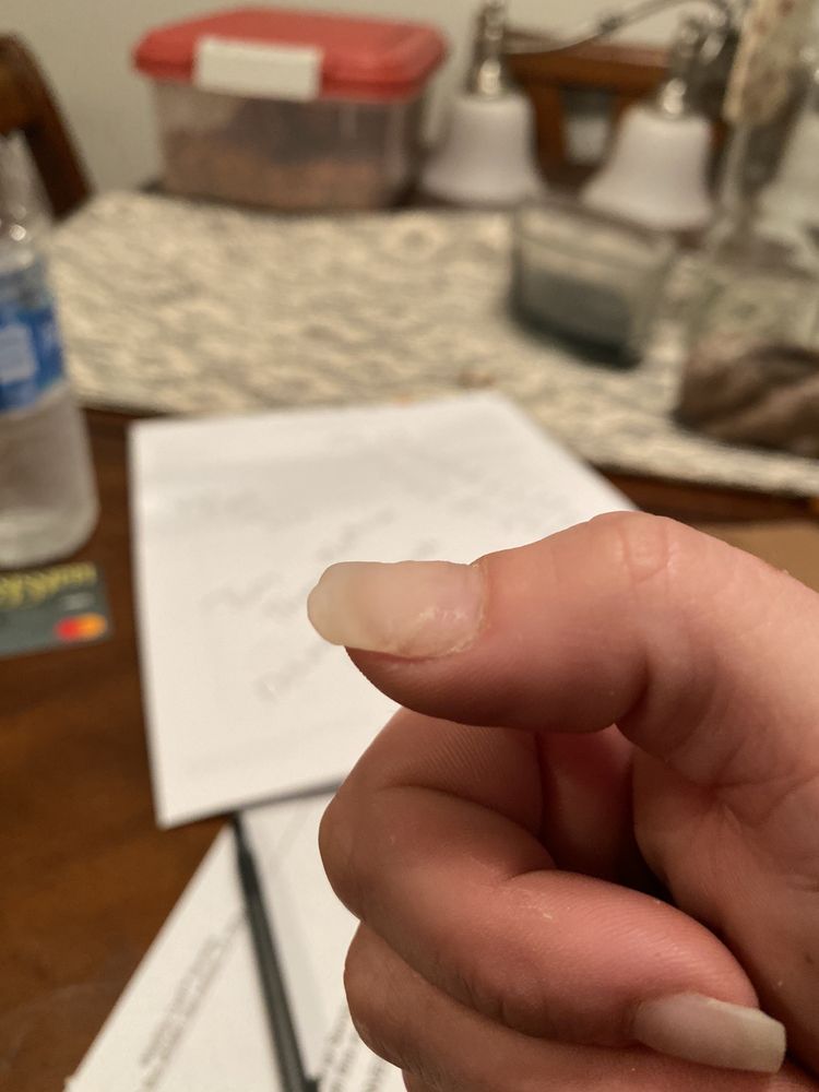 US NAIL SALON Updated September 2024 22 Photos & 18 Reviews 7099