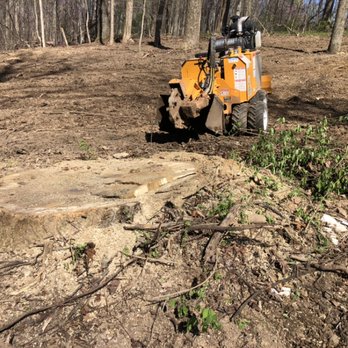 Anchor Stump Removal - Giant stump - No problem - Tree Services Near Me - Knoxville, Tennessee