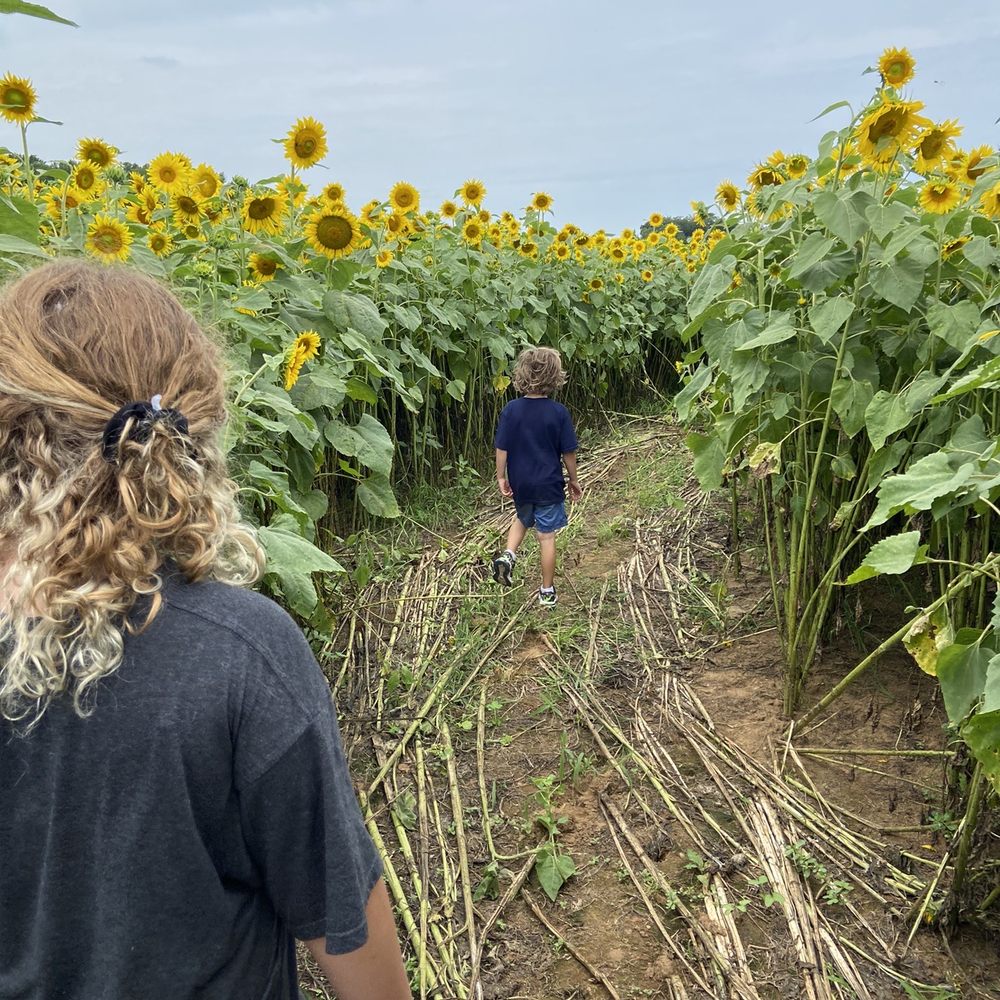Sneads Farm - Fruits & Veggies Near Me - Fredericksburg, Virginia