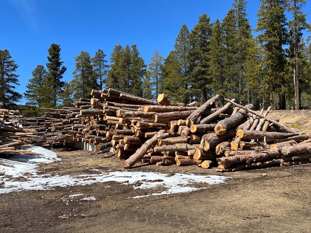 FIREWOOD KING Updated October 2024 Black Hawk, Colorado Firewood