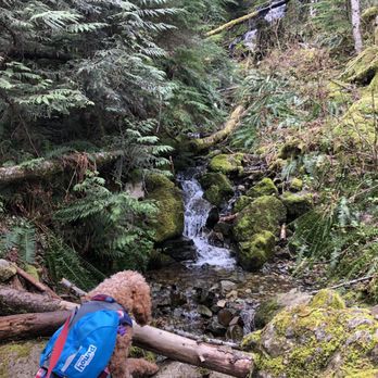 Mt Washington Trail - Hiking Near Me - North Bend, Washington