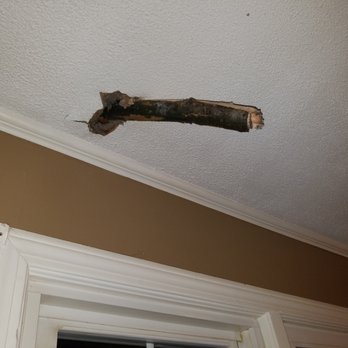Carlson Tree Service - a tree came threw our roof into our dinning room. - Tree Services Near Me